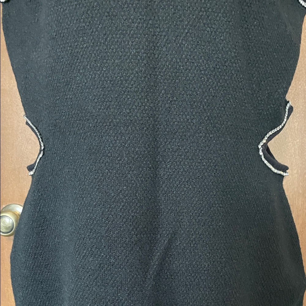 Elegant Sleeveless, Sweater Maxi by Express - Picture 9 of 17